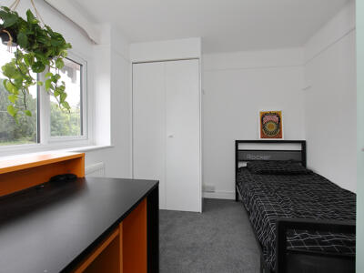 Picture 14